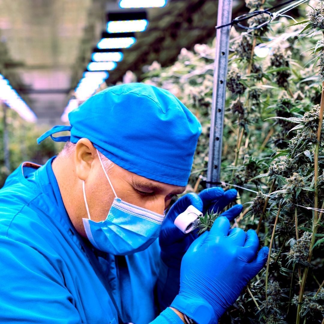 Aqualitas: Veterans Care Program