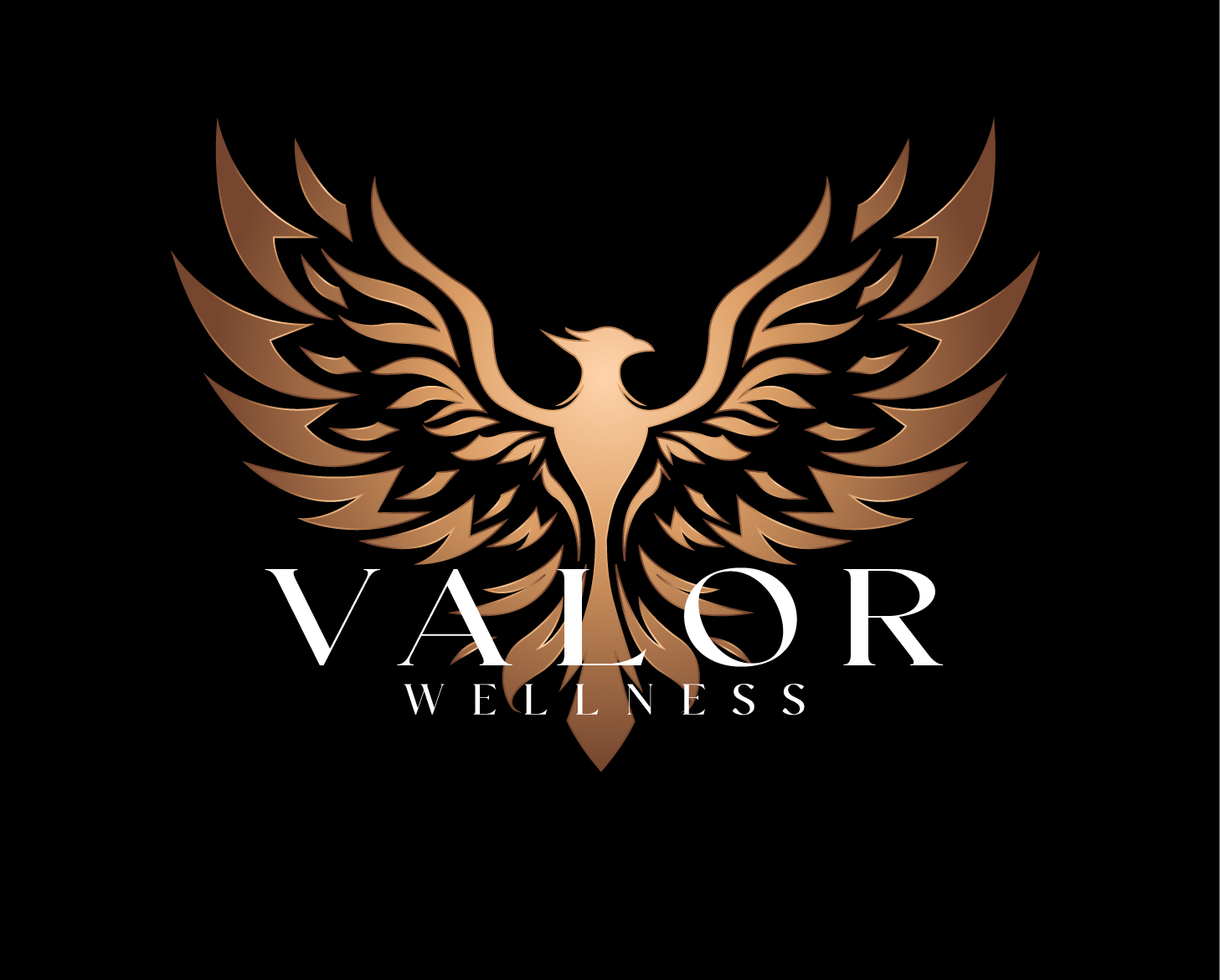 Valor Wellness Final 2 Veterans For Healing